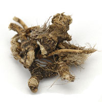 Osha Root 1/4 Oz. (Ligusticum porteri)